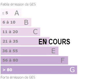 Bilan des émissions GES en cours